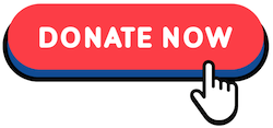 donate now